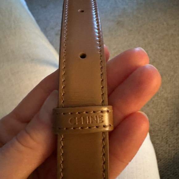 CELINE CLASSIQUE TRIOMPHE BAG IN SHINY CALFSKIN IN BRONZE - Picture 10 of 12